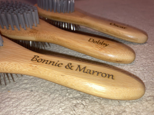 Gepersonaliseerde 2-in-1 borstel voor hond of kat