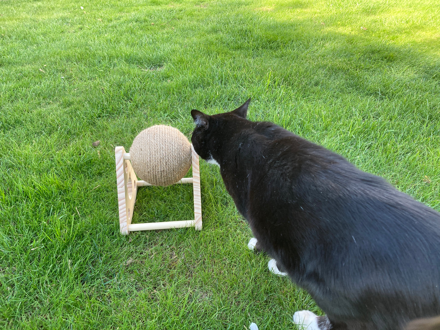 Gepersonaliseerde Krab Bal (voor Katten)